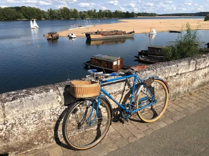 B&B Cote Loire Les Rosiers Εξωτερικό φωτογραφία